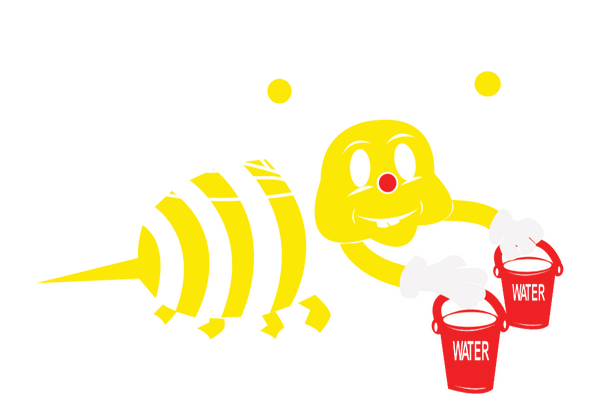 Soar with the Bee
